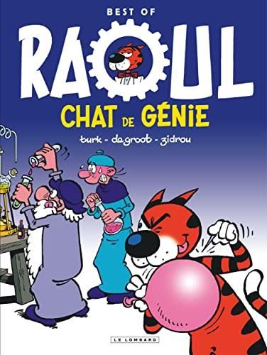 Best of Raoul, chat de génie